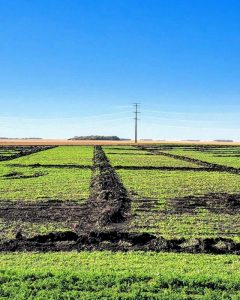 Agricultural drainage contractor
