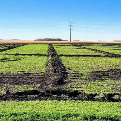 Agricultural drainage contractor