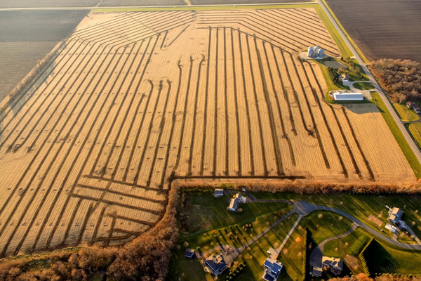 The Role of Technology in Modern Farm Drainage | Farm Drainage Company in Minnesota