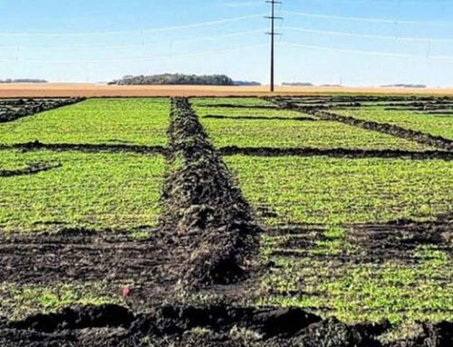Farm Drainage Challenges: Addressing Common Issues | Farm Drainage Company in Minnesota