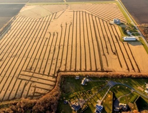 Maximize Farm Efficiency with Field Tiling | Field Tiling Company in Minnesota