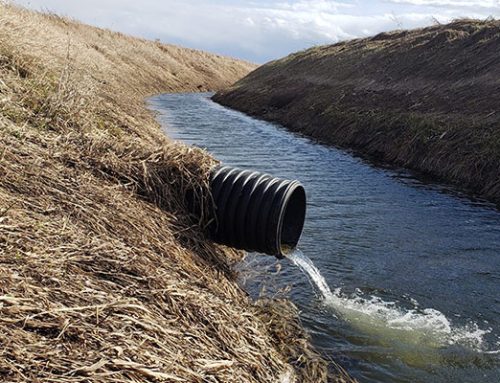 The Importance of Agricultural Drainage Services During Periods of Heavy Rainfall